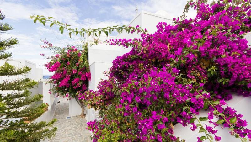 Unique Galini Oia - Adults Only Aparthotel Exterior photo